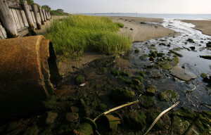 o'malley-environmental-record